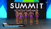 Dance Dynamics - Youth Elite Small Contemporary/Lyrical [2025 Youth - Contemporary/Lyrical - Small Semis] 2025 The Dance Summit