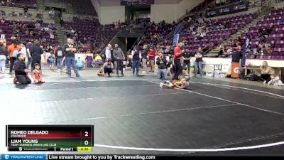 43-43 lbs Round 2 - Romeo Delgado, Colorado vs Liam Young, Team Taneisha Wrestling Club