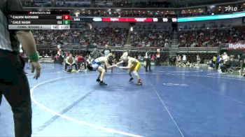 3A-132 lbs Cons. Round 4 - Cale Nash, Clear Creek-Amana vs Calvin Rathjen, Ankeny