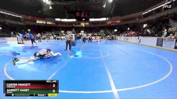 165 lbs Cons. Round 5 - Garrett Haney, Basha vs Carter Fawcett, Pinnacle