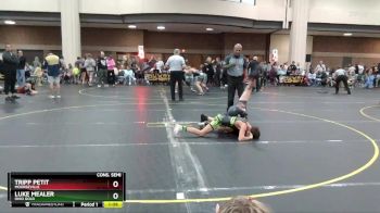 100 lbs Cons. Semi - Tripp Petit, Moorseville vs Luke Mealer, Ohio Gold