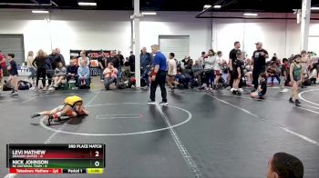 48 lbs Placement (4 Team) - Levi Mathew, Dragon United vs Nick Johnson, NC National Team