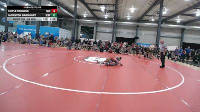 85 lbs Round Of 16 - Coyle Heggins, York vs Jackston Barnhart, Newport