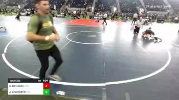 113 lbs Semifinal - Alexander Davidson, Horizon vs Joseph Chamberlin, Vail Wr Ac