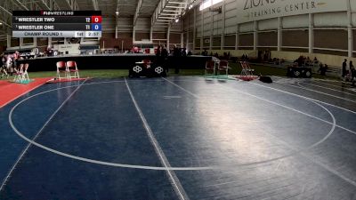 105 lbs Cons. Round 2 - Carlee Angell, Wyoming vs Vanessa Rocha, California