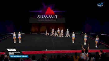 Omni Elite Athletix - Sting [2025 L2 Senior - Small Prelims] 2025 The D2 Summit