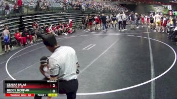 220 lbs Round 5 (6 Team) - Ceasar Salas, Indiana Gold vs Brody Dickman, Nebraska Blue