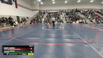 100 lbs Round 5 - Vivian Hayes, Tecumseh vs Avery Green, Comal Smithson Valley (Girls)