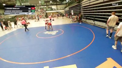 159-167 lbs Cons. Semi - Cruise Brolley, Washington vs Landon Westenfeld, Griffith