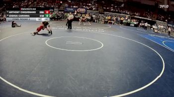 D 1 157 lbs Cons. Round 3 - Joshua Caronna, St. Amant vs Anthony Cinquemano, Brother Martin