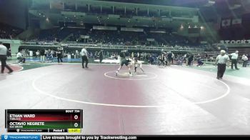 113 lbs Semifinal - Ethan Ward, Turlock vs Octavio Negrete, Elk Grove