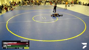 80 lbs Quarterfinal - Theo Bjerketvedt, Brainerd vs Cael Mack, Roseau