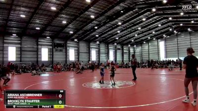 66 lbs Finals (8 Team) - Brooklyn Stauffer, Beast Mode Green vs Ariana Aschbrenner, Gunz And Rosez