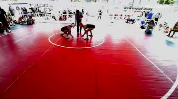 101 lbs Semifinal - Breana Whitman, Silver Back WC vs Avery Holzer, Silver Back WC