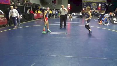 83 lbs Quarterfinal - Layla Namerow, Downingtown vs Jenna Greer, Titusville