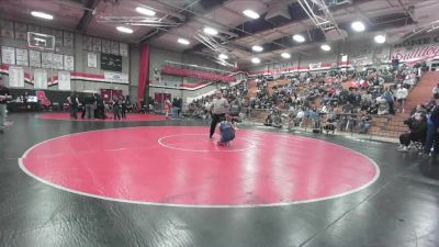 155 lbs Quarterfinal - Karina Camera, San Dimas vs Adalieda Fernandez, Birmingham