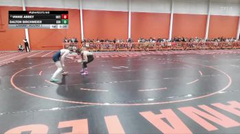 157 lbs Champ. Round 1 - Dalton Birchmeier, Cornerstone vs Vinnie Abbey, Indiana Tech