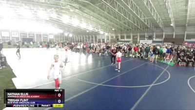 92 lbs Semifinal - Nathan Ellis, Sanderson Wrestling Academy vs Teegan Flint, Bear River Wrestling Club