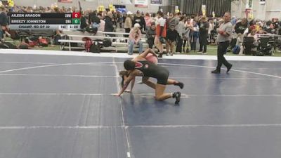 125 lbs Champ. Rd Of 32 - Breezy Johnston, Denver Wrestling Academy vs Aileen Aragon, Sebolt Women's Wrestling