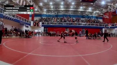 138 lbs Champ. Round 1 - Cooper Wilkins, Portage vs Walter Drews, Glenn