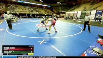 138 Class 2 lbs Quarterfinal - Troy Gustin, Pleasant Hill vs Gable Gross, Odessa