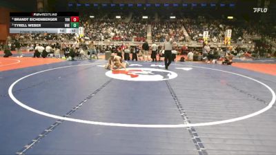 3A-175 lbs Cons. Round 2 - Tyrell Weber, Wheatland vs Brandt Eichenberger, Torrington