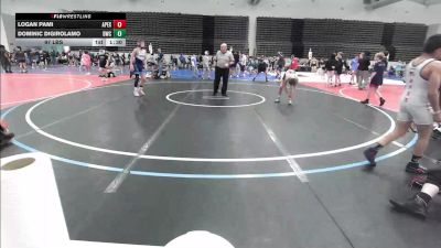 97 lbs Rr Rnd 2 - Logan Pami, Apex MS vs Dominic DiGirolamo, DoughBoy MS
