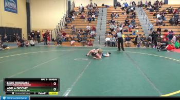 115 lbs Round 3 - Lexie Rosedale, Moen Wrestling Academy vs Adela Didovic, Anoka Youth Wrestling