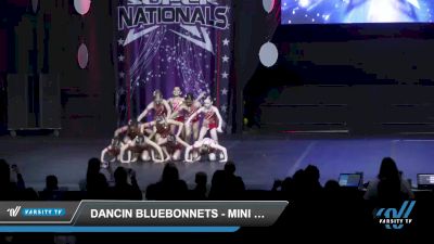 Dancin Bluebonnets - Mini Elite Jazz [2022 Mini - Jazz - Small Day 2] 2022 JAMfest Dance Super Nationals