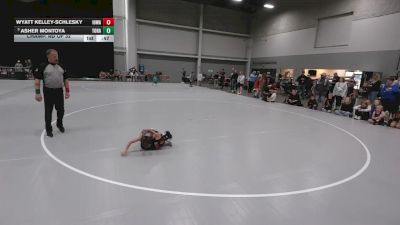 49 lbs Champ. Rd Of 32 - Wyatt Kelley-Schlesky, Iowa vs Asher Montoya, Top Rank