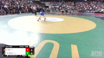 4A 113 lbs 5th Place Match - Alex Othon, Tahoma vs Andrew Cai, Newport (Bellevue)