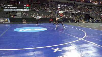 174 lbs Cons. Round 3 - Cole Ritter, Maryville (MO) vs Tyler Morrison, Pitt-Johnstown