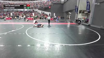 110 lbs Champ. Round 2 - Deylen Brellenthin, Delavan Darien Youth Wrestling vs Cole Carter, Kewaskum Indians Wrestling Club