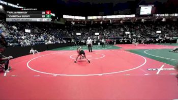 100 lbs Champ. Round 2 - Christian Bushy, BEASTA vs Kalija Bentley, LAN1