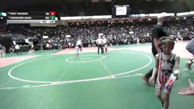 40 lbs Semifinal - Theodore Kash, ROGA vs Troy Haugen, BVAA