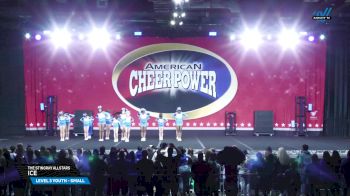 The Stingray Allstars - Ice [2025 L3 Youth - Small Day 2] 2025 Cheer Power Grand Nationals