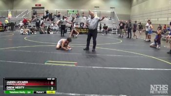 96 lbs 5th Place Match - Drew Nesity, Chippewa vs Jaiden Uccardi, American Gladiators