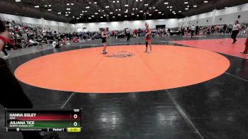 100 lbs Champ. Round 3 - Hanna Egley, Nixa vs Juliana Tice, North Kansas City