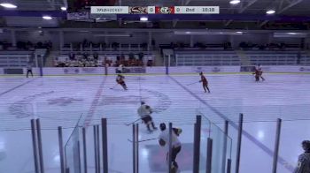 Replay: Home - 2024 Vipers vs Kodiaks | Nov 15 @ 8 PM