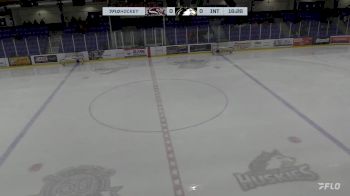 Replay: Home - 2024 Vipers vs Huskies | Nov 1 @ 8 PM