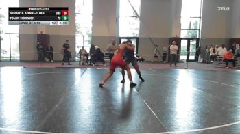 197 lbs Consi Of 8 #2 - Sepanta Ahanj-Elias, Maryland vs Toler Hornick, Presbyterian