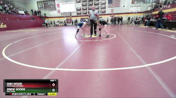 115 lbs Champ. Round 1 - Ann Wood, EXCELSIOR SPRINGS vs Drew Goode, OAK PARK