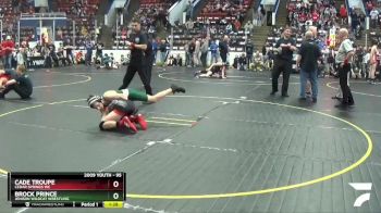 95 lbs Cons. Round 2 - Brock Prince, Jenison Wildcat Wrestling vs Cade Troupe, Cedar Springs WC