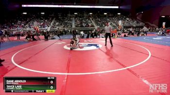 4A-113 lbs 3rd Place Match - Dane Arnoldi, Rock Springs vs Tayce Lake, Campbell County