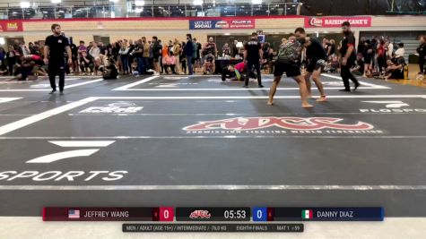 Danny Diaz vs Jeffrey Wang 2024 ADCC Austin Open