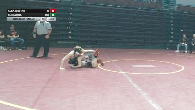 126 lbs Quarterfinal - Alex Mestas, South Pointe vs Eli Garcia, Bluffton