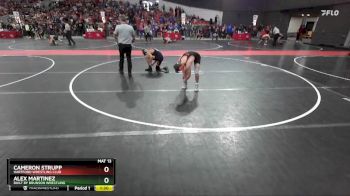 130 lbs Cons. Round 2 - Cameron Strupp, Hartford Wrestling Club vs Alex Martinez, Built By Brunson Wrestling
