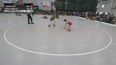 113 lbs Champ. Rd Of 16 - Gavin Hoeft, MN Elite vs Artels James Jr, Elevate Wrestling Club