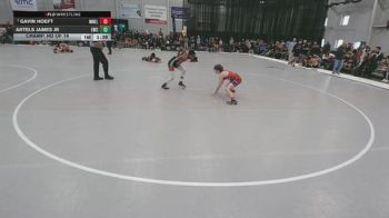 113 lbs Champ. Rd Of 16 - Gavin Hoeft, MN Elite vs Artels James Jr, Elevate Wrestling Club