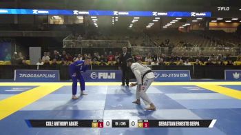 Sebastian Ernesto Serpa vs Cole Anthony Abate 2025 Pan Jiu Jitsu IBJJF Championship
